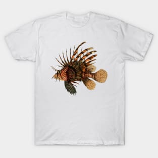 Lionfish Vintage Fish Natural History Antique Scientific Drawing T-Shirt